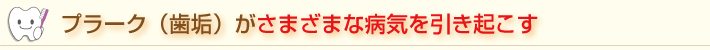 PMTCってなに?