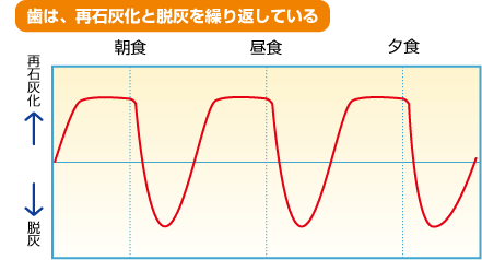 歯は再石灰化と脱灰を繰り返している